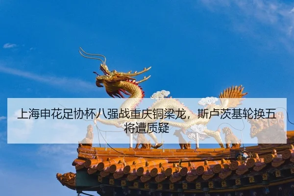 shang-hai-shen-hua-zu-xie-bei-ba-qiang-zhan-chong-qing-tong-liang-long-si-lu-ci-ji-lun-huan-wu-jiang-zao-zhi-yi-2-752.jpg