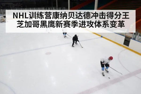NHL训练营康纳贝达德冲击得分王 芝加哥黑鹰新赛季进攻体系变革